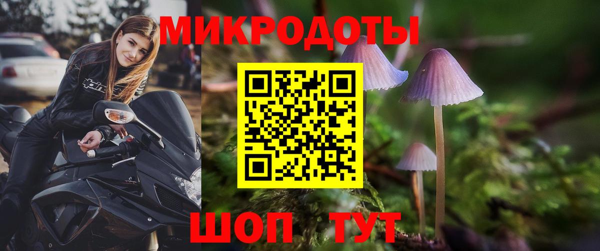 Артёмовский  Галлюциногенные грибы прущие грибы  сколько стоит  Псилоцибиновые грибы Psilocybe  Вход с VPN 